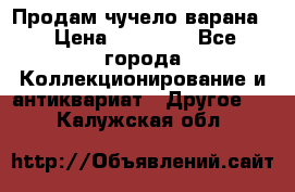 Продам чучело варана. › Цена ­ 15 000 - Все города Коллекционирование и антиквариат » Другое   . Калужская обл.